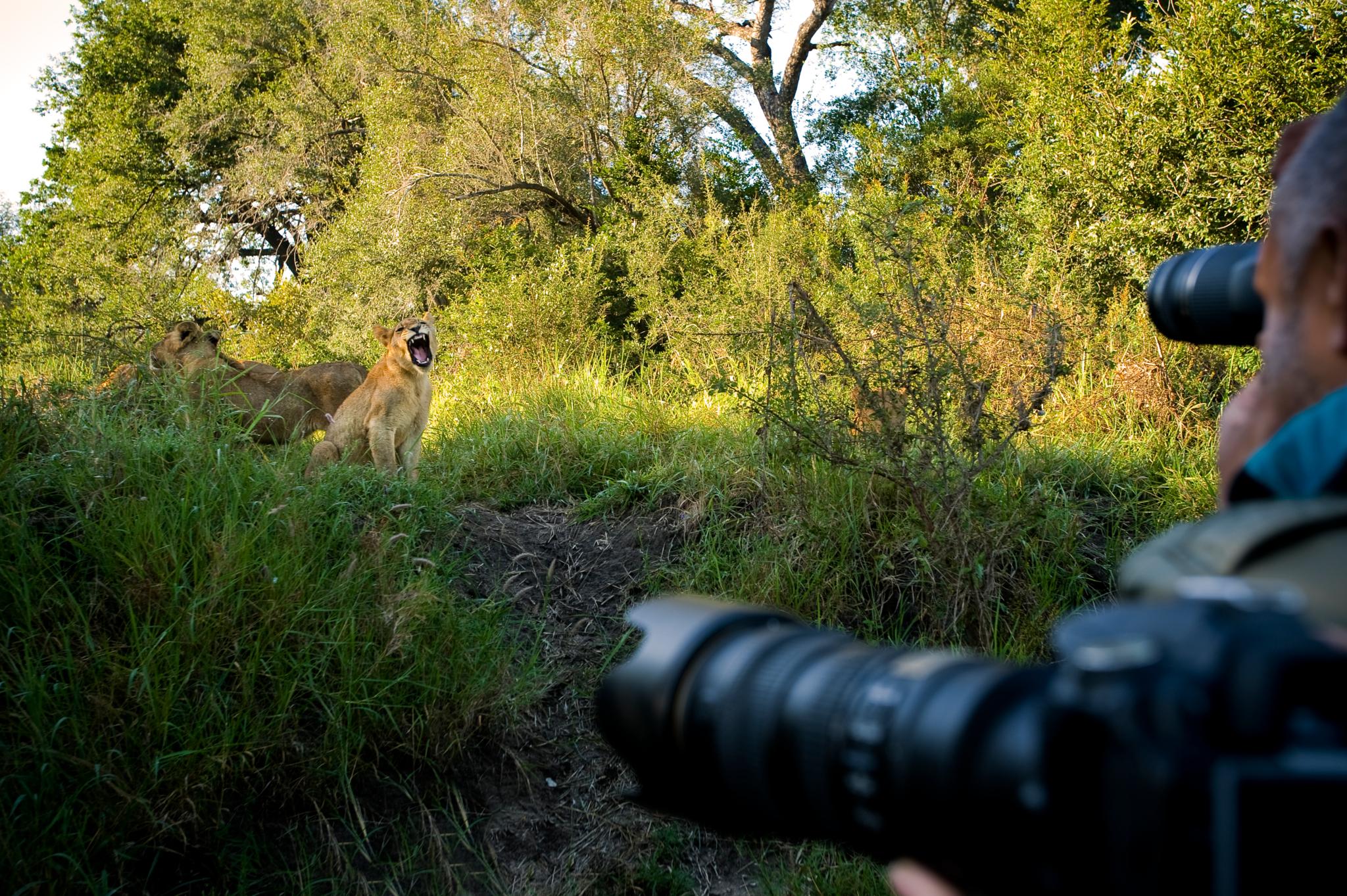 Lion Sands Narina Lodge Reserva de caza Sabi Sand Exterior foto