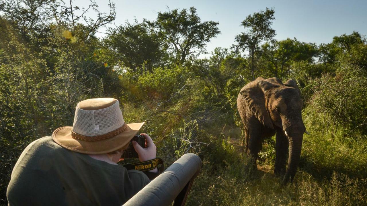 Lion Sands Narina Lodge Reserva de caza Sabi Sand Exterior foto